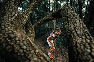 BIB: 
                            <button type="button" onclick="openModal(25389687)" class="btn btn-primary btn-sm float-right btn-popup" data-toggle="modal" data-target=".modal-high-quality">
                        <i class="fas fa-shopping-cart"></i> Add to Cart
                    </button>
                                            <button type="button" onclick="isThisMe(25389687, true)" class="btn btn-success btn-sm float-right btn-popup btn-isme hidden" data-toggle="tooltip" data-placement="bottom" title="นี่คือรูปของคุณใช่ไหม คลิกที่นี่เพื่อเอาเข้าอัลบั้ม">
                        <i class="fas fa-plus"></i> Add to album
                    </button>
                    <button type="button" onclick="isThisMe(25389687, false)" class="btn btn-warning btn-sm float-right btn-popup btn-isnotme hidden">
                        <i class="fas fa-ban"></i> Remove from album
                    </button>